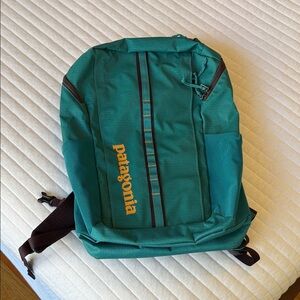 Patagonia Teal Black Hole Backpack